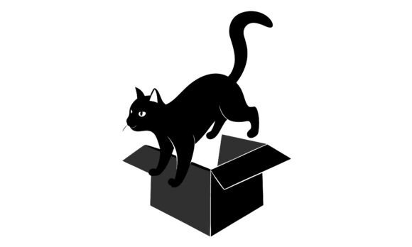 Black Cat Climbing out of Cardboard Box