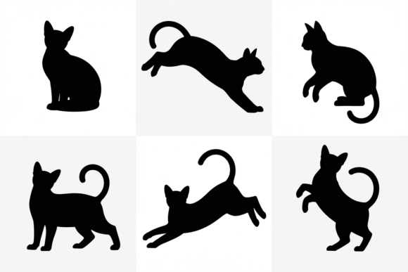 Black Cat in Different Poses