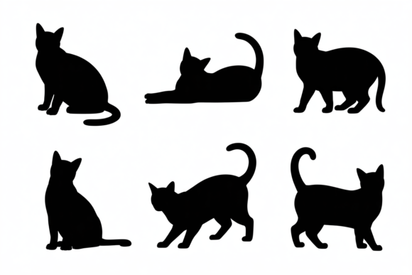 Black Cat Vector Design Review
